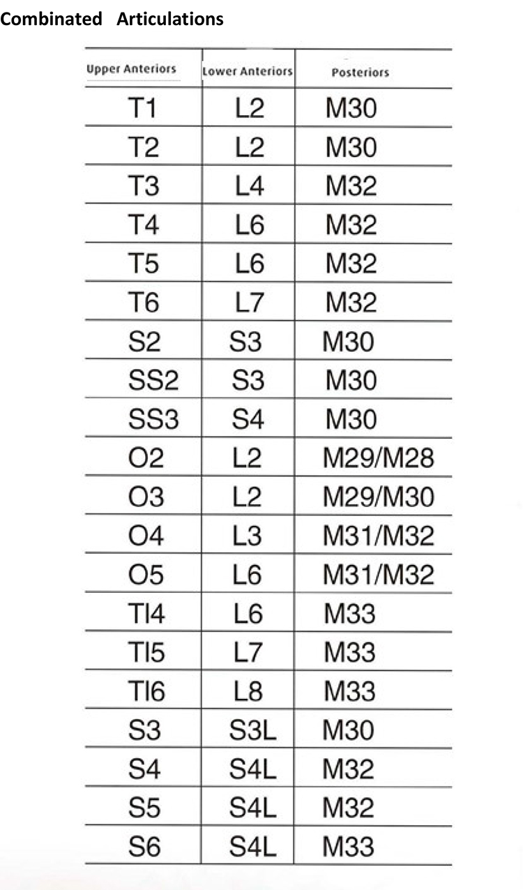 SCE Two layer Synthetic Resin Teeth